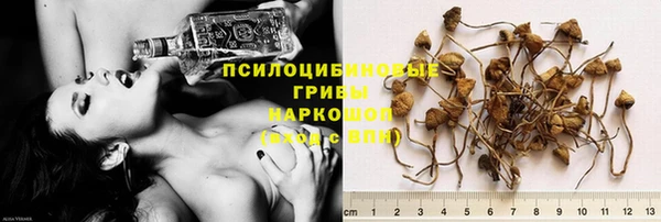 прущая мука Мегион