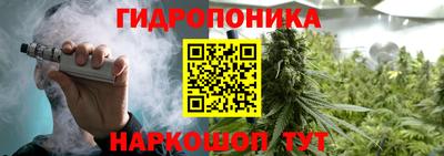 альфа пвп Кингисепп