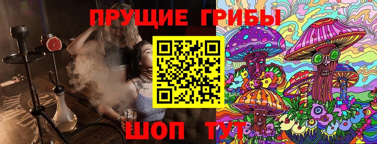 Галлюциногенные грибы Psilocybe  Электросталь  Галлюциногенные грибы Magic Shrooms 