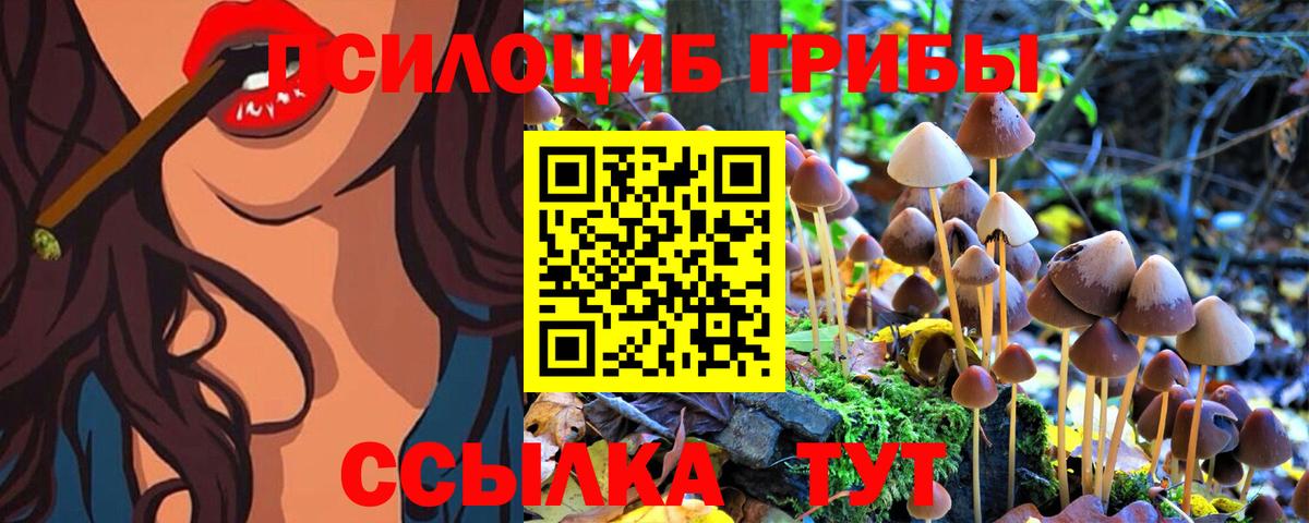 Галлюциногенные грибы GOLDEN TEACHER Электросталь