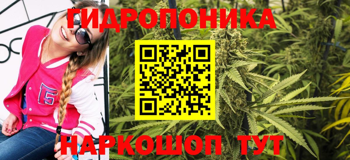 Конопля гибрид  Каннабис планчик  Канабис ГИДРОПОН  Электросталь 